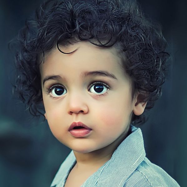 السيد محمد حسين الموسوي